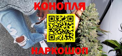 дмт Заводоуковск
