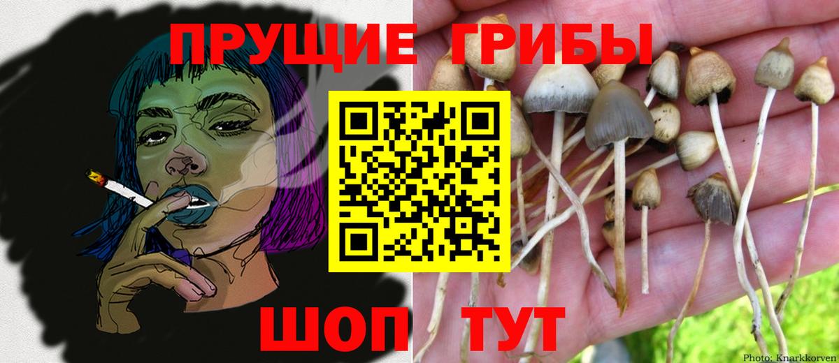 Псилоцибиновые грибы Magic Shrooms  Вход с VPN  Мыски  Псилоцибиновые грибы MAGIC MUSHROOMS 