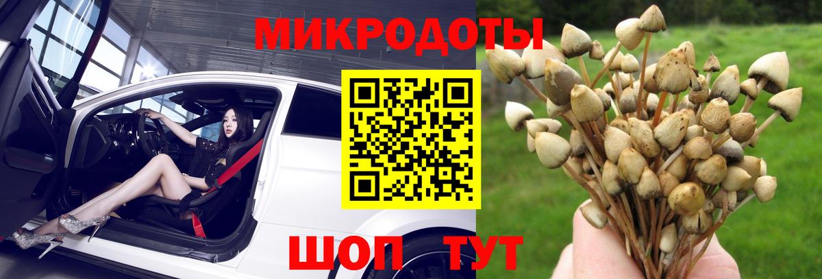 Псилоцибиновые грибы Psilocybine cubensis Мыски